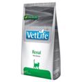 VETLIFE CAT RENAL 400GR